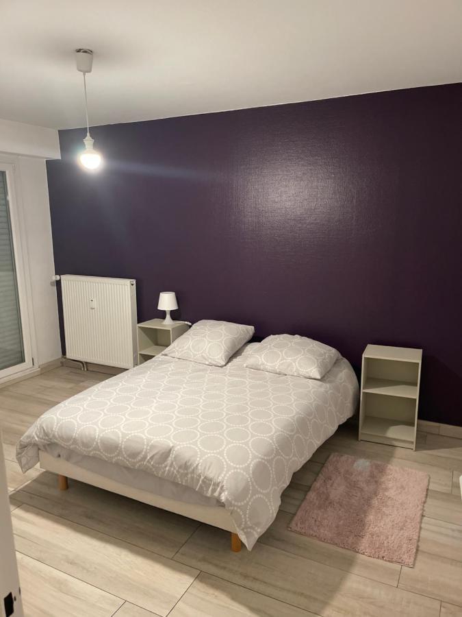 Superbe Appartement Avec Place De Parking Gratuit Estrasburgo Exterior foto